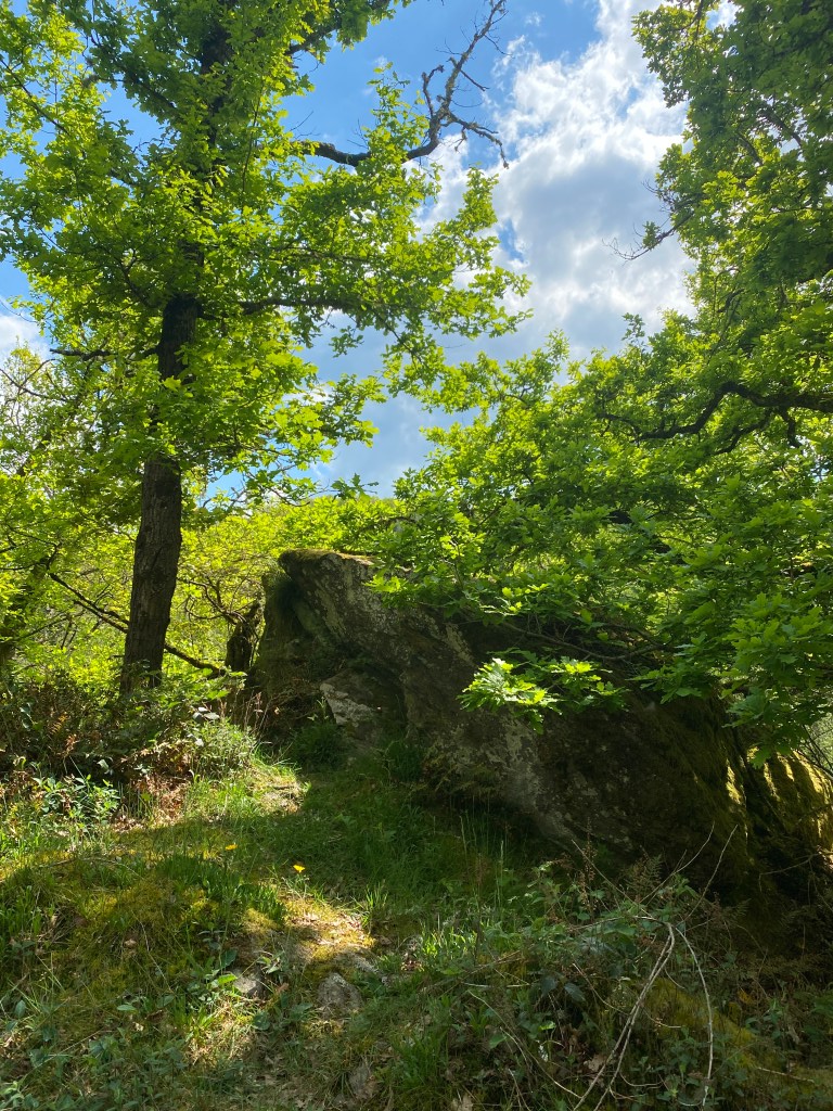 Bagalad - Gorges de la Sioule, Auvergne, Puy-de-Dôme
