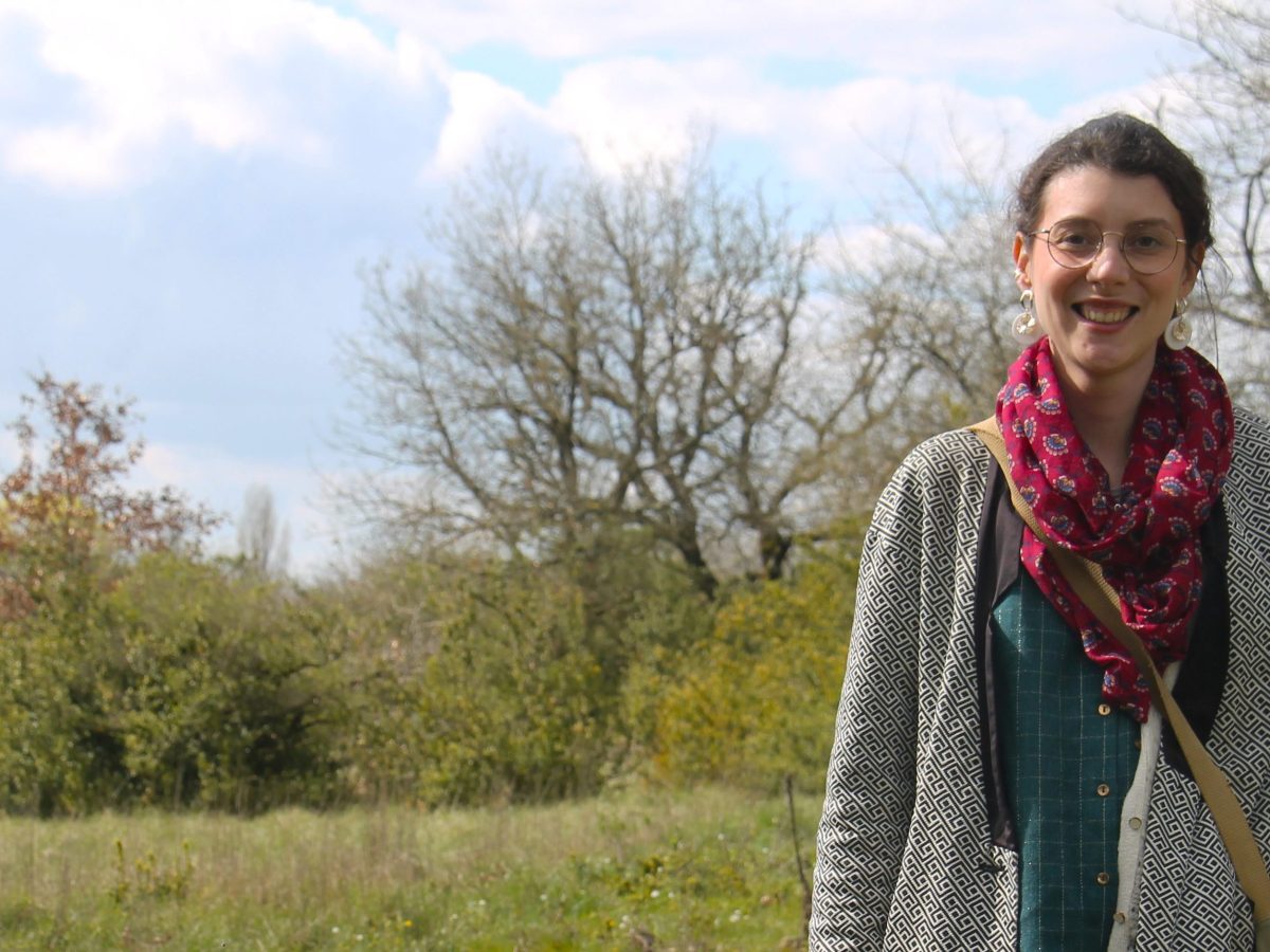 Des moutons qui broutent près des&nbsp;tombes