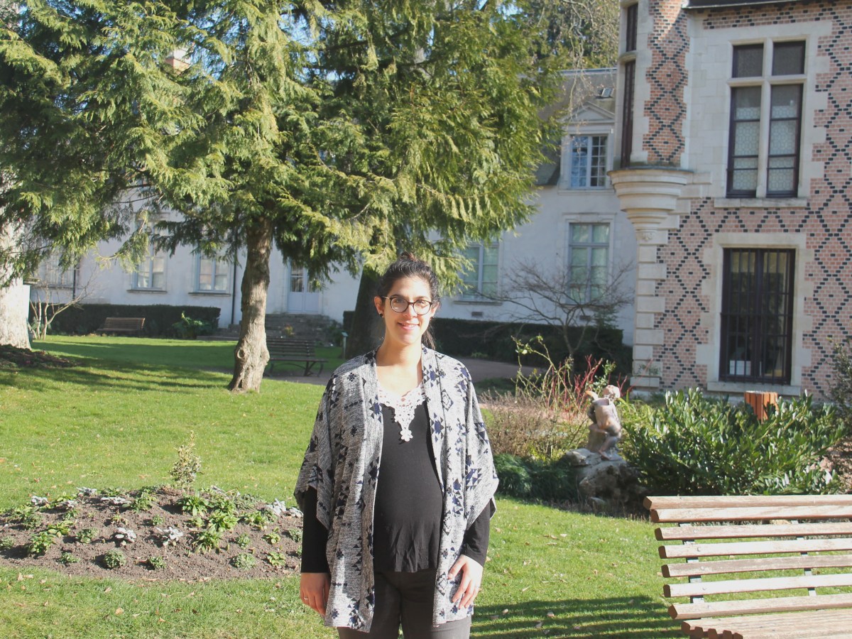 Le jardin de l’Hôtel Groslot, Loiret, Centre-val-de-Loire